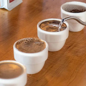 Cupping - Barista e Espresso