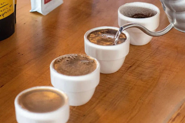 Cupping - Barista e Espresso