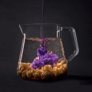 Caraffa trasparente in vetro dal design moderno per barista e servizio preciso del caffè, Ultime novità, tutto sul caffè.