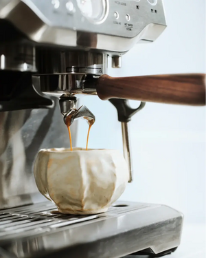 Portafilter per Sage Barista Serie (54 mm) - Barista e Espresso